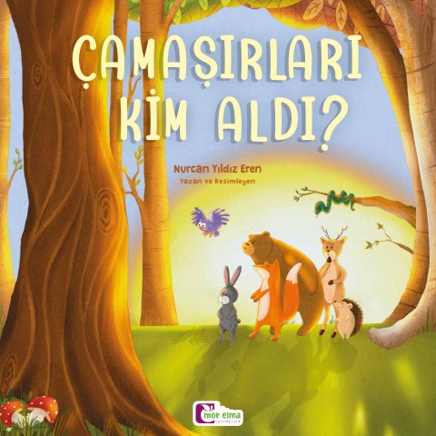 Çamaşırları Kim Aldı