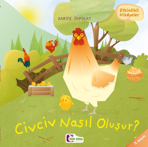 Civciv Nasıl Oluşur