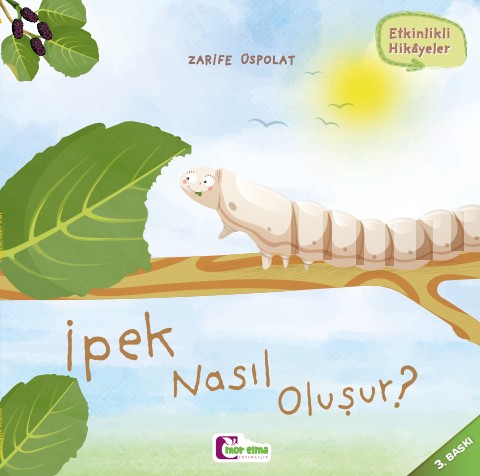 İpek Nasıl Oluşur