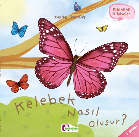 Kelebek Nasıl Oluşur
