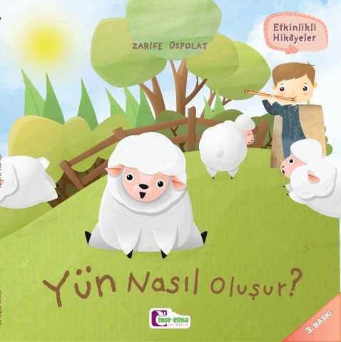 Yün Nasıl Oluşur