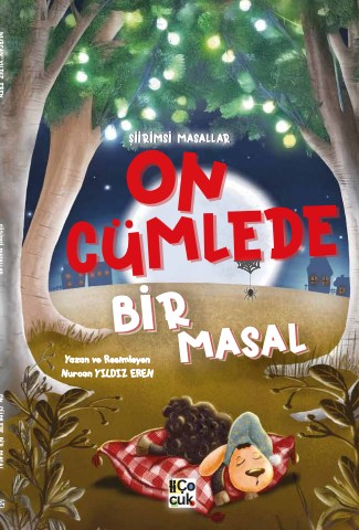 ON CÜMLEDE BİR MASAL